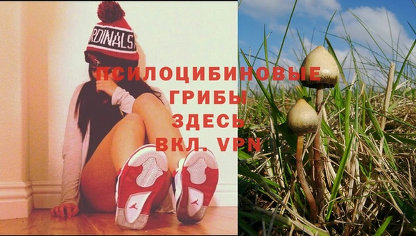 стаф Навашино