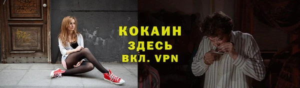 дмт Надым