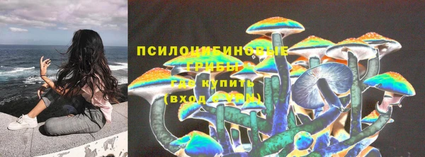 дмт Надым