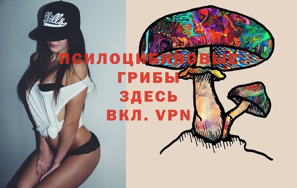 дмт Надым