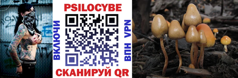 Галлюциногенные грибы Psilocybe  omg tor  Калуга  где купить  
