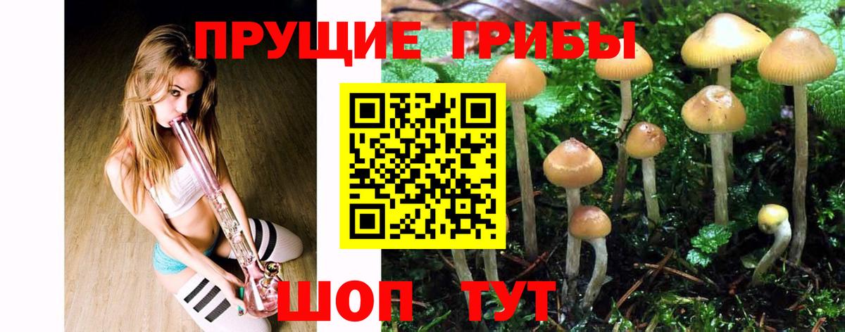 МЕФ Калуга