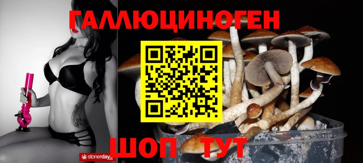 Псилоцибиновые грибы Psilocybe Калуга