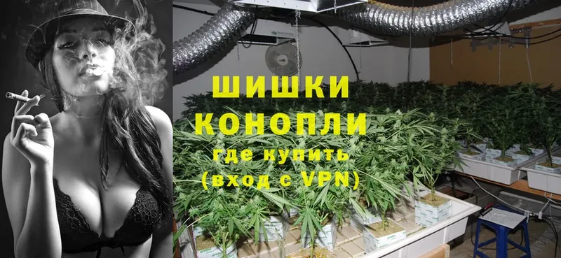 Бошки марихуана THC 21%  Калуга 